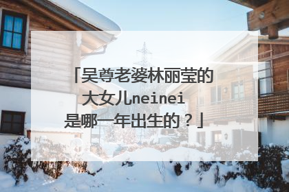吴尊老婆林丽莹的大女儿neinei是哪一年出生的?