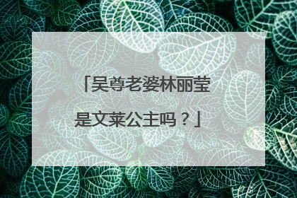 吴尊老婆林丽莹是文莱公主吗？