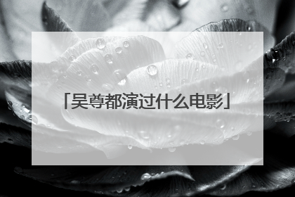 吴尊都演过什么电影