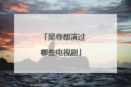 吴尊都演过哪些电视剧