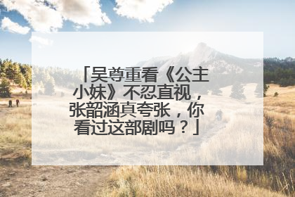 吴尊重看《公主小妹》不忍直视,张韶涵真夸张,你看过这部剧吗?