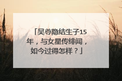 吴尊隐结生子15年,与女星传绯闻,如今过得怎样?