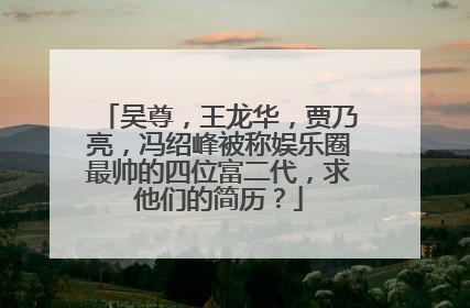 吴尊,王龙华,贾乃亮,冯绍峰被称娱乐圈最帅的四位富二代,求他们的简历?
