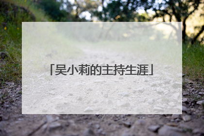 吴小莉的主持生涯