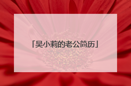 吴小莉的老公简历