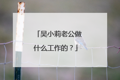 吴小莉老公做什么工作的?