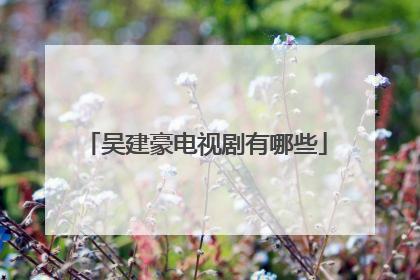 吴建豪电视剧有哪些