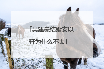 吴建豪结婚安以轩为什么不去