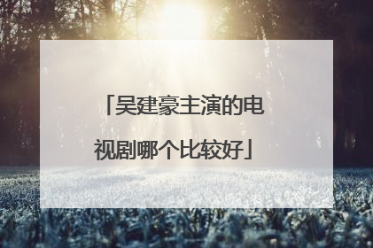 吴建豪主演的电视剧哪个比较好