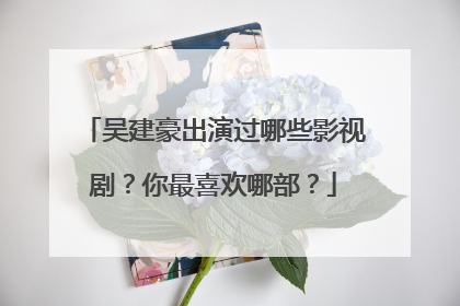 吴建豪出演过哪些影视剧?你最喜欢哪部?