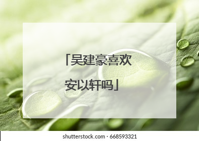 吴建豪喜欢安以轩吗