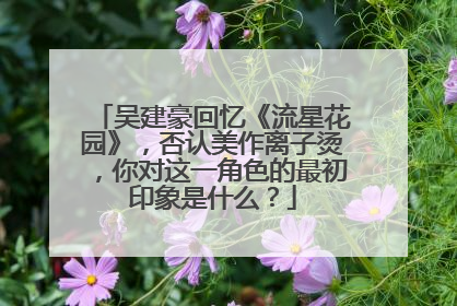 吴建豪回忆《流星花园》，否认美作离子烫，你对这一角色的最初印象是什么？