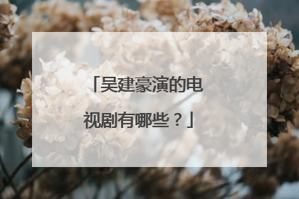 吴建豪演的电视剧有哪些？