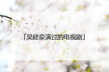 吴建豪演过的电视剧