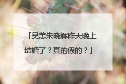 吴恙朱晓辉昨天晚上结婚了？真的假的？