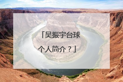 吴振宇台球个人简介?