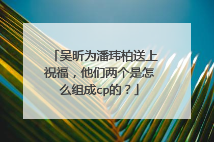 吴昕为潘玮柏送上祝福，他们两个是怎么组成cp的？