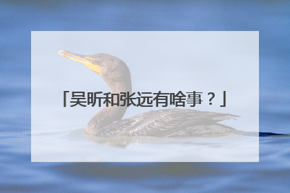 吴昕和张远有啥事?