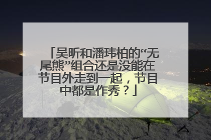 吴昕和潘玮柏的“无尾熊”组合还是没能在节目外走到一起，节目中都是作秀？