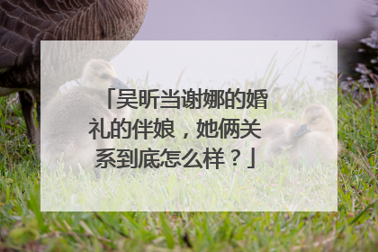 吴昕当谢娜的婚礼的伴娘,她俩关系到底怎么样?