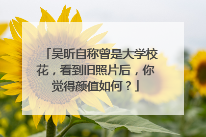 吴昕自称曾是大学校花，看到旧照片后，你觉得颜值如何？