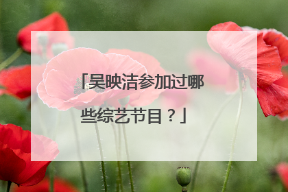 吴映洁参加过哪些综艺节目？