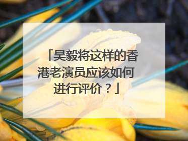 吴毅将这样的香港老演员应该如何进行评价?