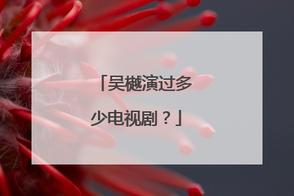 吴樾演过多少电视剧?