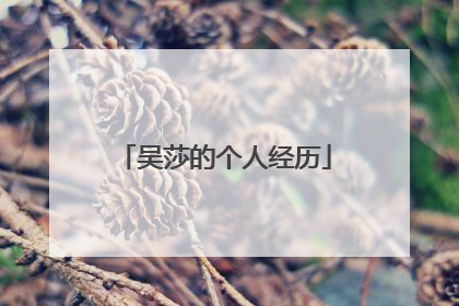 吴莎的个人经历