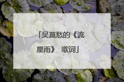 吴莫愁的《流星雨》 歌词