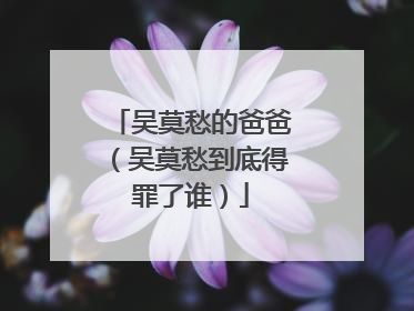 吴莫愁的爸爸（吴莫愁到底得罪了谁）