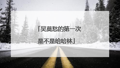 吴莫愁的第一次是不是给哈林