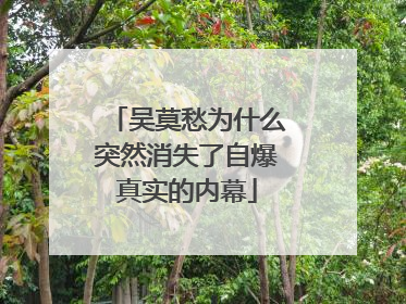 吴莫愁为什么突然消失了自爆真实的内幕