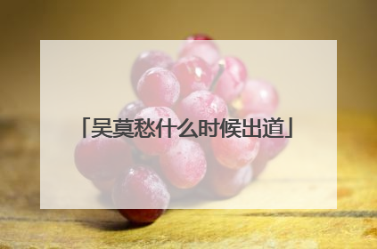 吴莫愁什么时候出道