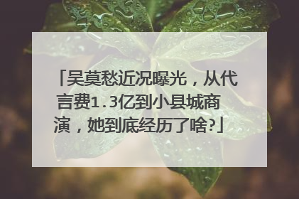 吴莫愁近况曝光，从代言费1.3亿到小县城商演，她到底经历了啥?