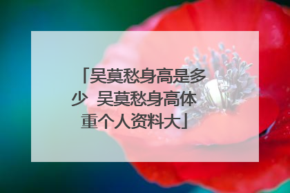 吴莫愁身高是多少 吴莫愁身高体重个人资料大