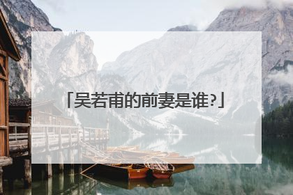 吴若甫的前妻是谁?