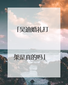 吴迪婚礼打架是真的吗