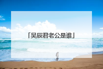 吴辰君老公是谁