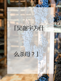 吴谢宇为什么杀母？