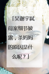 吴谢宇弑母案细节披露，杀妈妈的原因是什么呢？