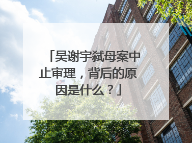 吴谢宇弑母案中止审理,背后的原因是什么?