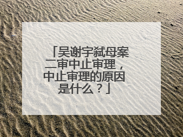 吴谢宇弑母案二审中止审理,中止审理的原因是什么?