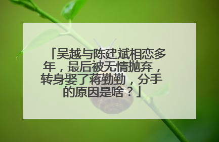 吴越与陈建斌相恋多年,最后被无情抛弃,转身娶了蒋勤勤,分手的原因是啥?