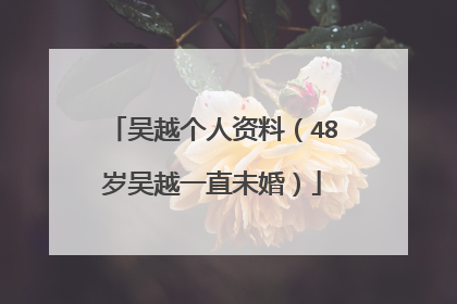 吴越个人资料（48岁吴越一直未婚）