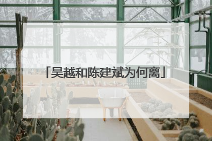 吴越和陈建斌为何离
