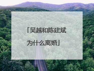 吴越和陈建斌为什么离婚