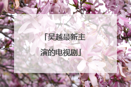 吴越最新主演的电视剧