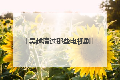 吴越演过那些电视剧