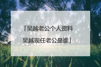 吴越老公个人资料 吴越现任老公是谁